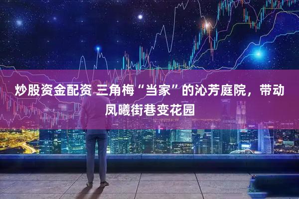 炒股资金配资 三角梅“当家”的沁芳庭院，带动凤曦街巷变花园