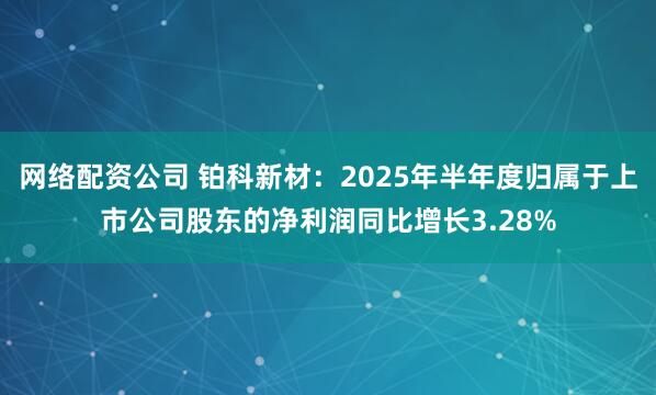 网络配资公司 铂科新材：2025年半年度归属于上市公司股东的净利润同比增长3.28%