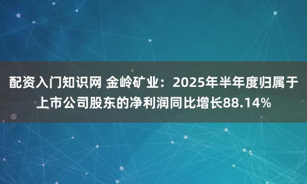 配资入门知识网 金岭矿业：2025年半年度归属于上市公司股东的净利润同比增长88.14%